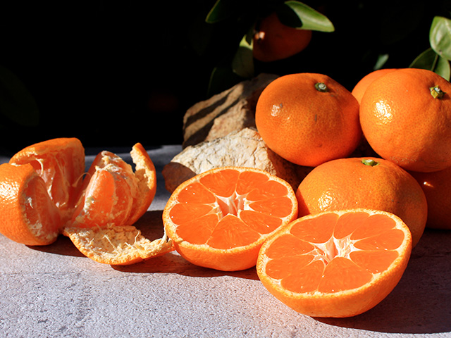 33farmでは元気になれるみかんを目標に農薬不使用や減農薬など特別栽培のみかん作りにこだわっています。