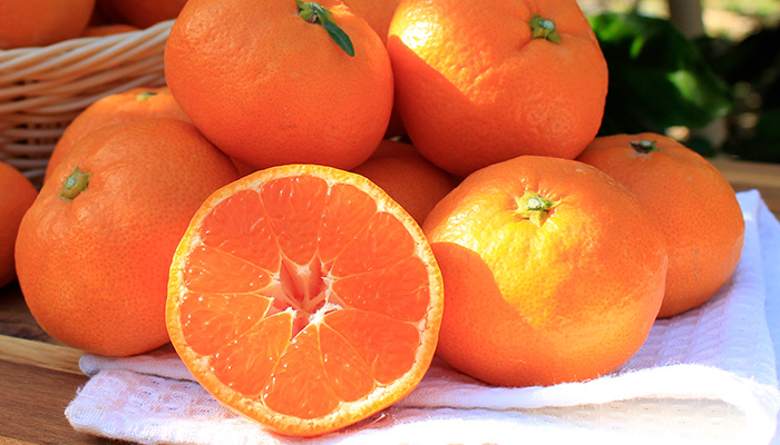 柑甘ファームの三ケ日みかん 青島は甘みと酸味のバランスがほどよく美味しい