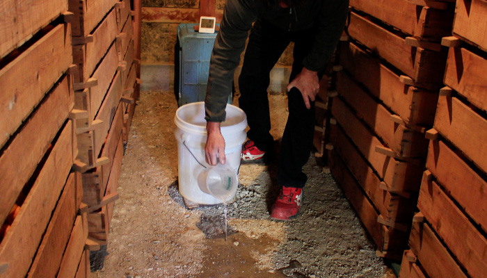 柑甘ファームの匠が細やかな管理で美味しい貯蔵熟成みかんが出来上がります