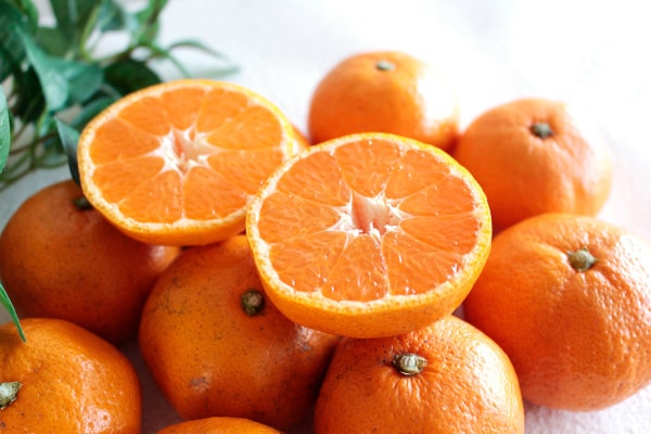 位田さんの三ケ日みかん「南柑」