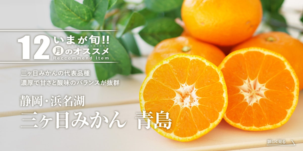 三ヶ日みかん青島