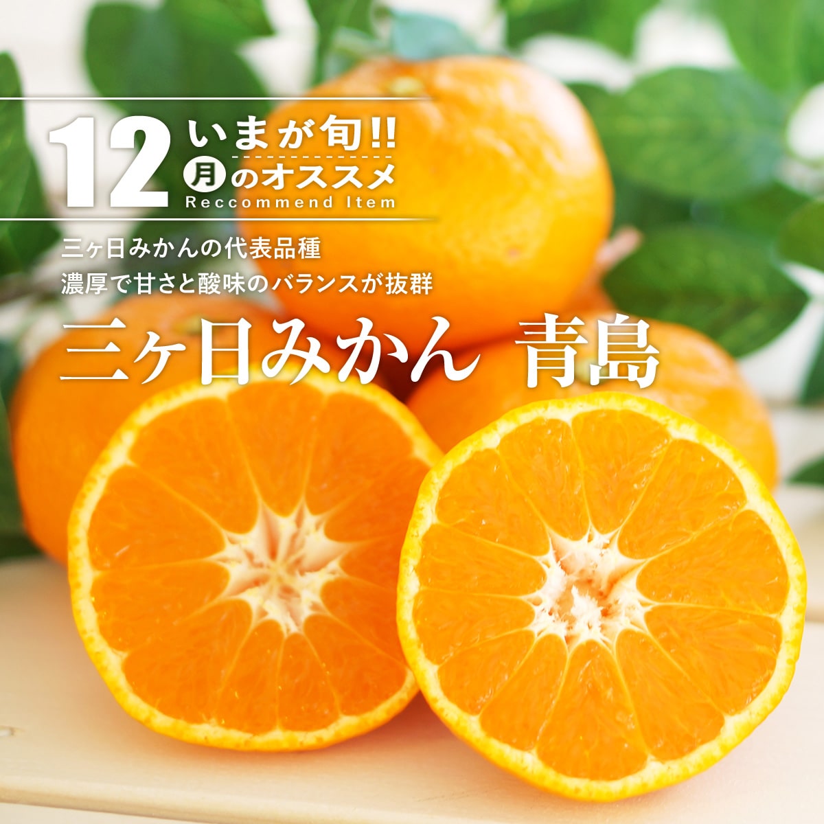 三ヶ日みかん青島