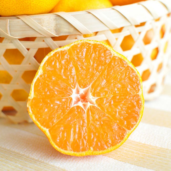 みかん みかん 様 みかんさま みかん様 ミカン様 ミカン様 蜜柑様 レビュー