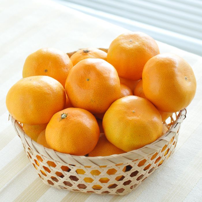 三ケ日みかん 早生 5kg | ぎゅっと凝縮された旨味とコク、甘くて