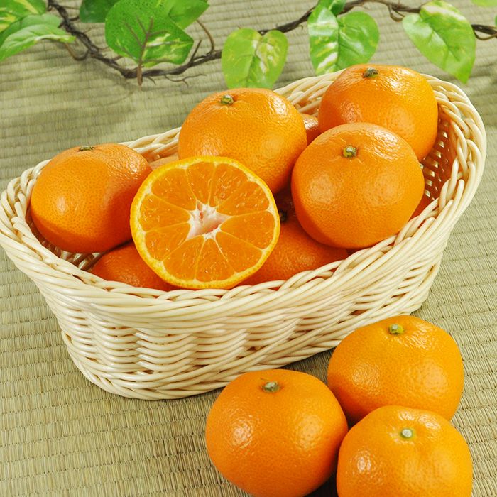 由良みかん 5kg 2L～3S混合 秀優良混 静岡・浜松 日下農園 ｜ 産地直送