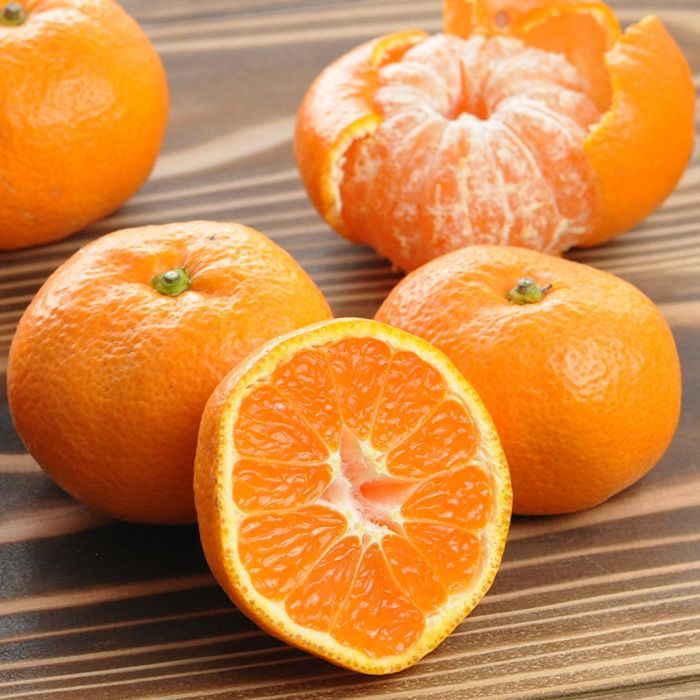 みかん＊ 静岡県より産地直送 JAみっかび 三ケ日みかん (早生品種) 3Lサイズ 8