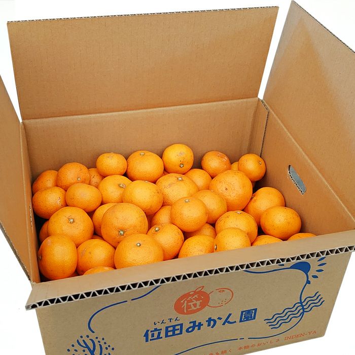 位田さんちの低農薬の三ケ日みかん早生 10kg S～Lサイズ混合 箱