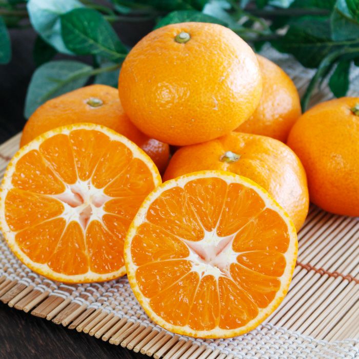 三ヶ日みかん 「青島」 S～Lサイズ混合 4kg ｜ 三ヶ日平山産ブランドみかん