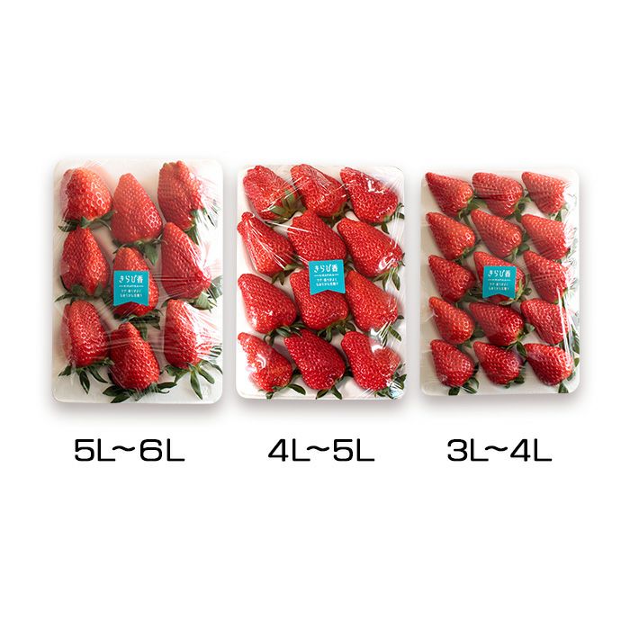 静岡県産 上村農園のいちごサイズ&パック