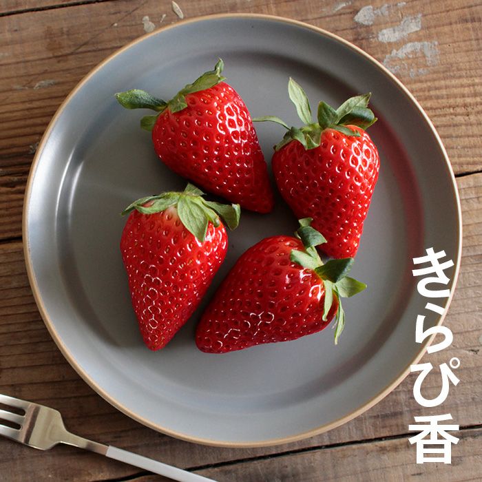 静岡県産 上村農園のいちご「きらぴ香」