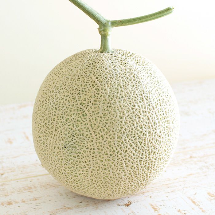 静岡マスクメロン「アールスメロン」1.7kg