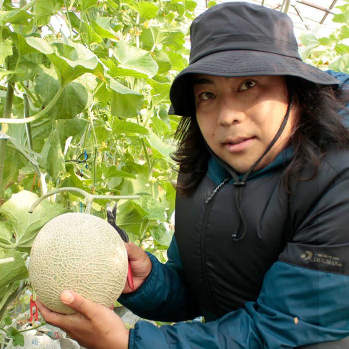 静岡マスクメロン「アールスメロン」1.7kg 古橋さんの大玉 静岡マスクメロン「アールスメロン」1.7kg 古橋さんの大玉
