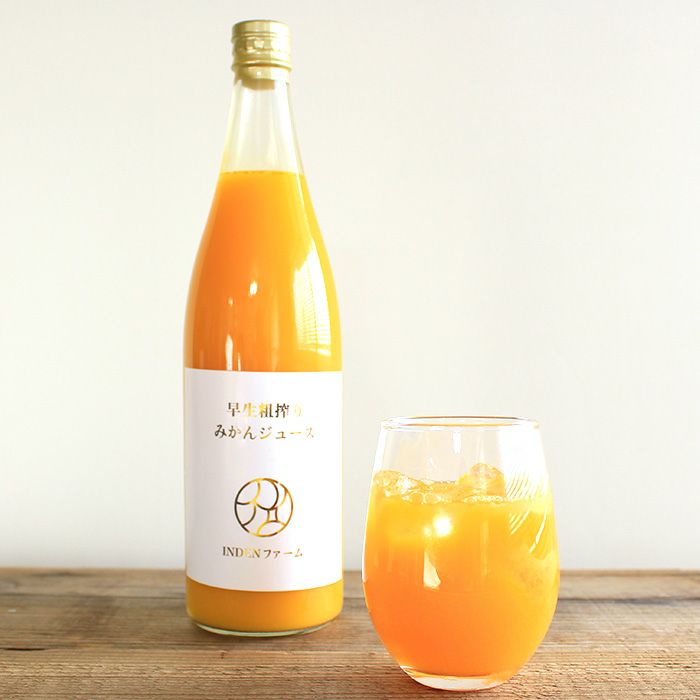 農薬不使用三ヶ日みかんジュース「早生粗搾り」720ml