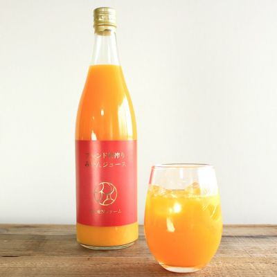 農薬不使用三ヶ日みかんジュース「粗搾りワイルドブレンド」720ml