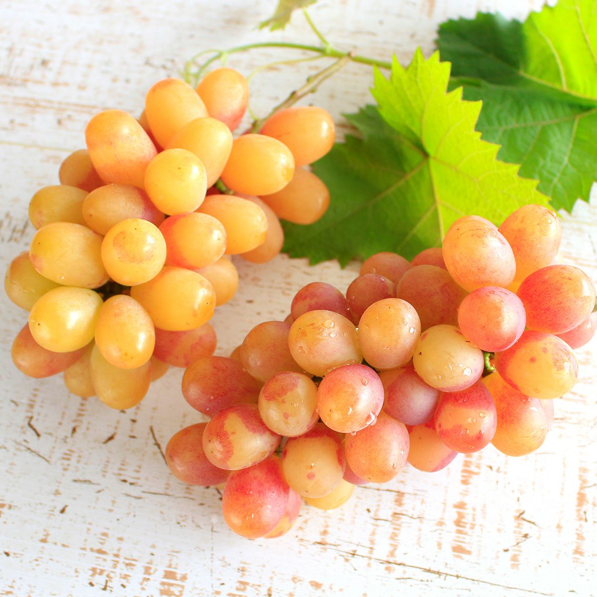 ヌーベルローズ 2房800g