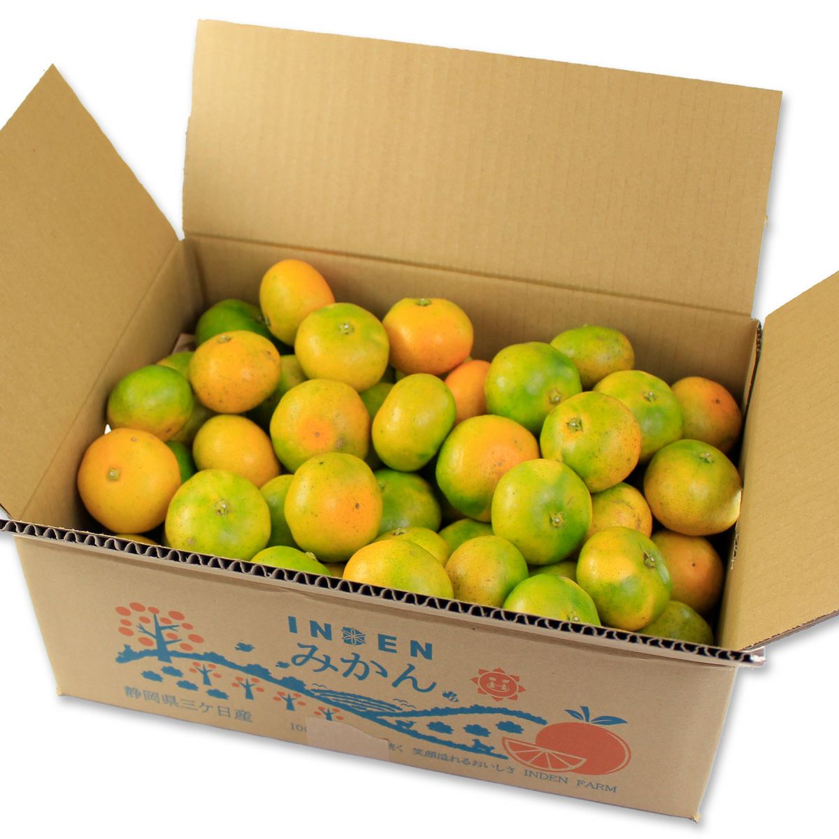 位田みかん園の農薬不使用三ケ日みかん極早生 箱