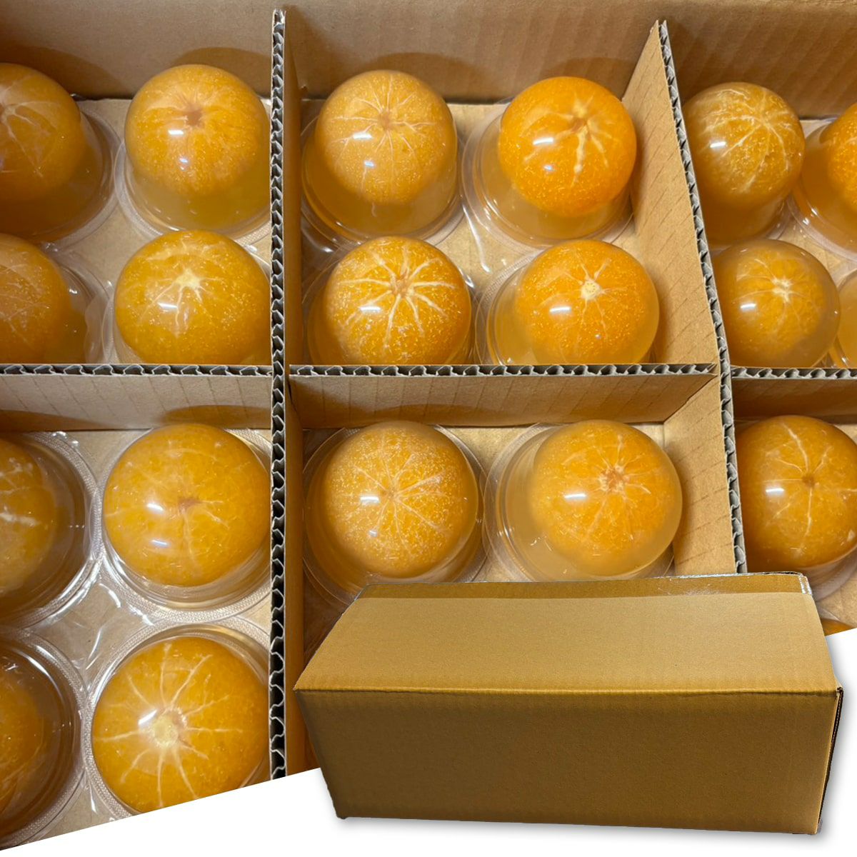 農薬不使用三ヶ日みかんゼリー 48個入