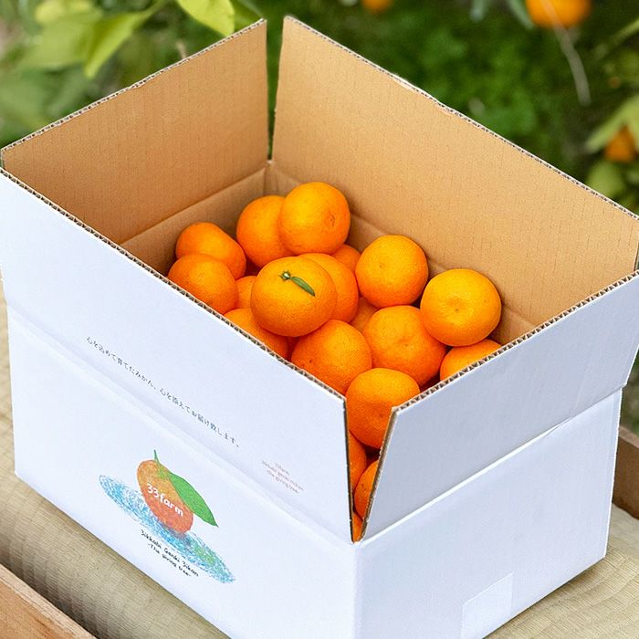 33farmの三ヶ日みかん早生5kg/10kg