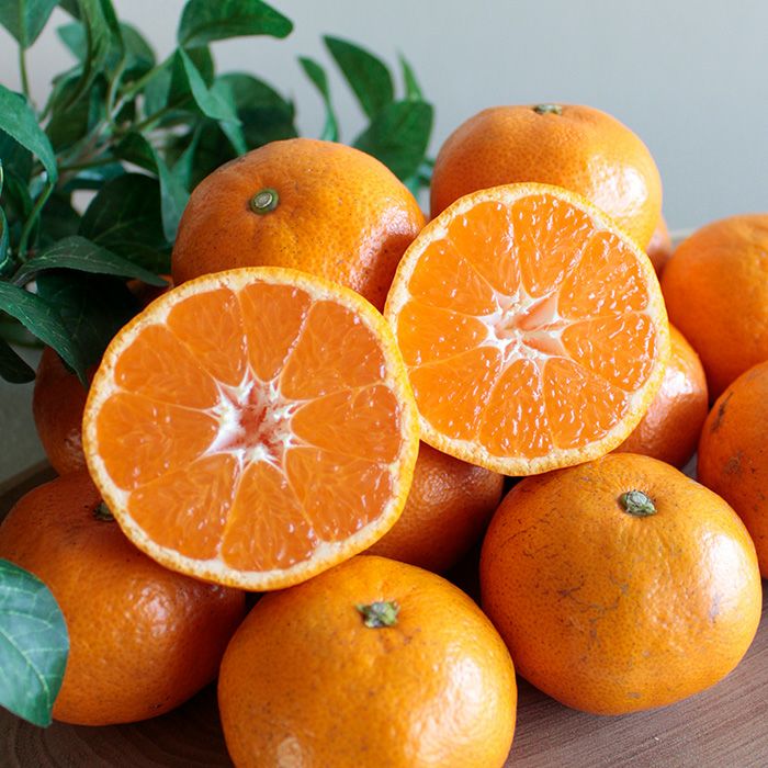 位田さんの農薬不使用三ケ日みかん南柑